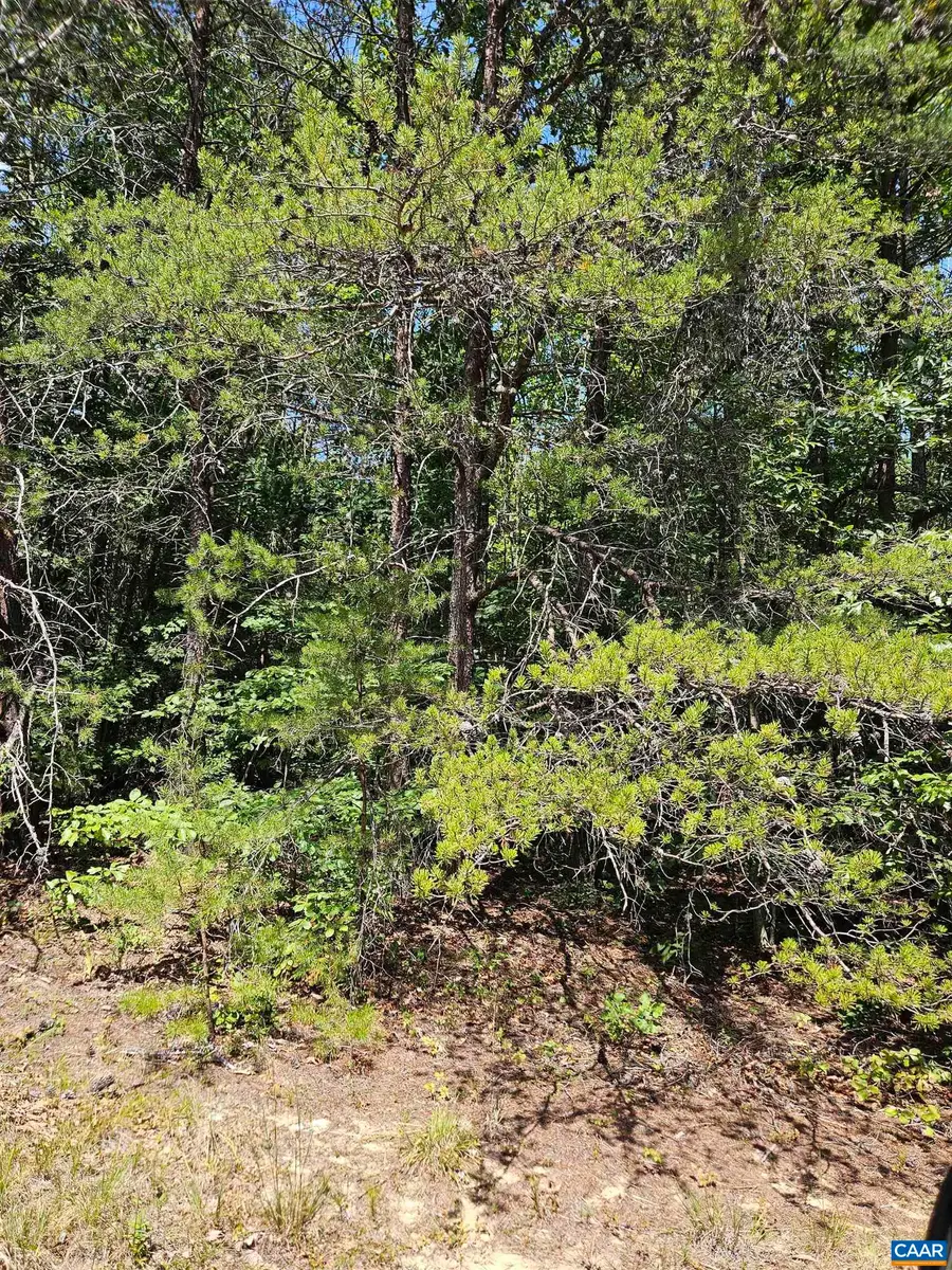 100 Ac James Anderson Hwy W, Gladstone, VA 24553 - #3