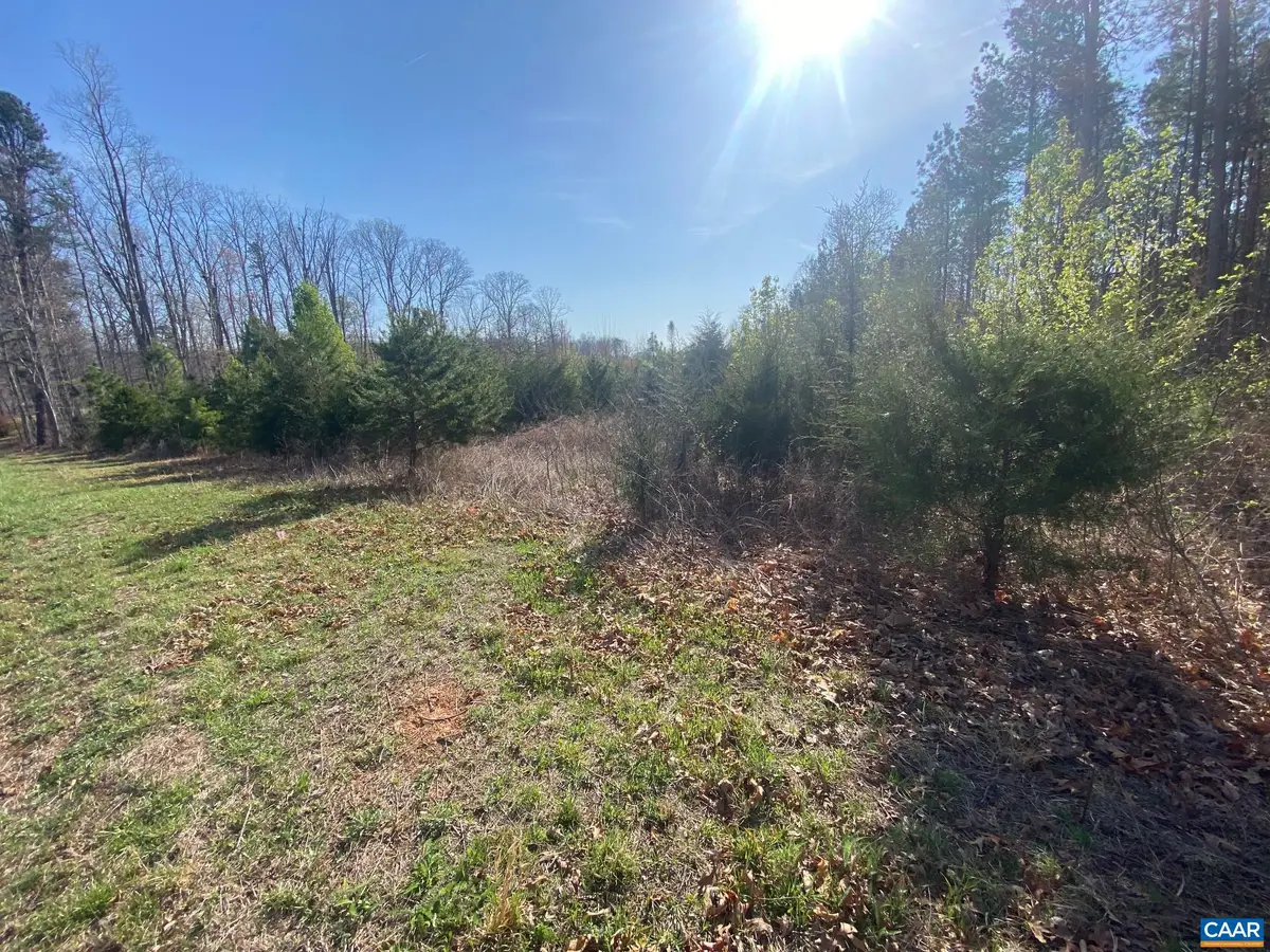 000 Aldridge Ln, Scottsville, VA 24590 - #1