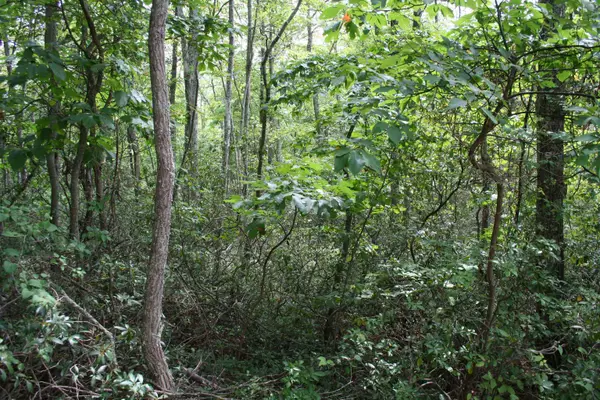 High Valley South, Monterey, VA 24465