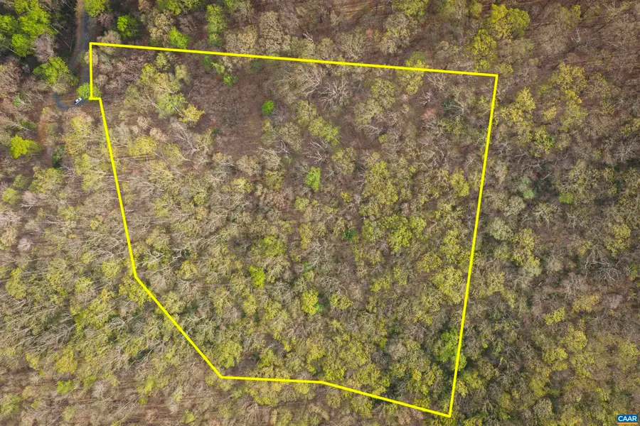 Lot 42 Tree House Pl, Nellysford, VA 22958 - #2