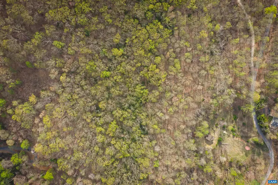Lot 42 Tree House Pl, Nellysford, VA 22958 - #3
