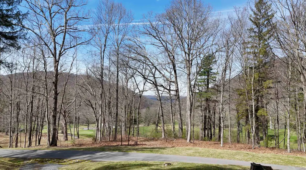 61 & 62 Old Course Trail, Hot Springs, VA 24445 - #1