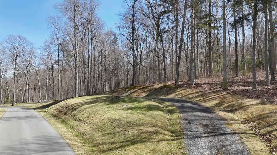 61 & 62 Old Course Trail, Hot Springs, VA 24445 - #2