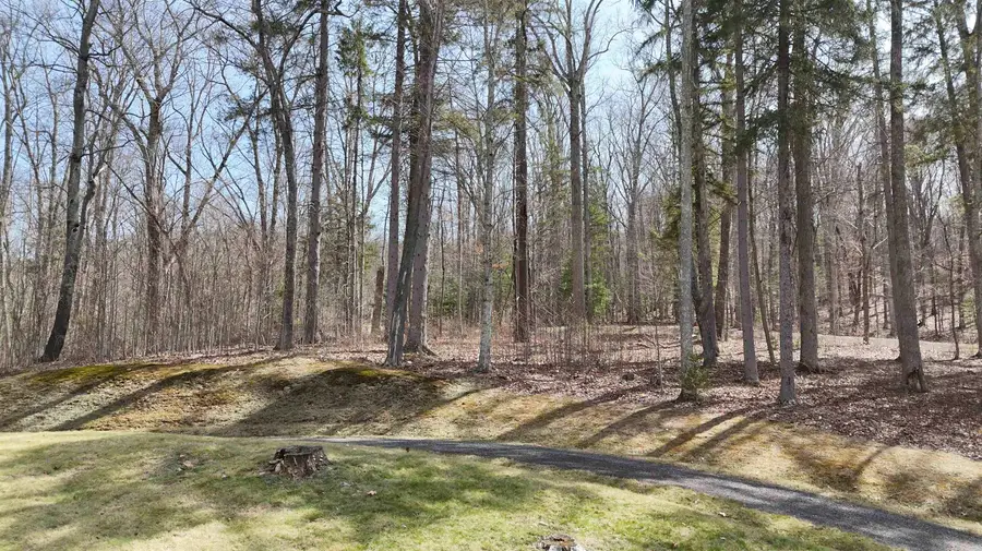 61 & 62 Old Course Trail, Hot Springs, VA 24445 - #3