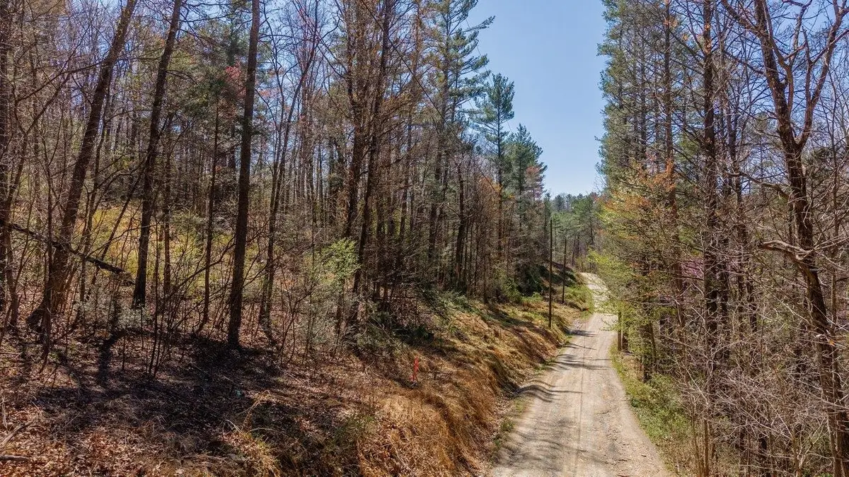 TBD Shell Hollow Ln, Dayton, VA 22821 - #1