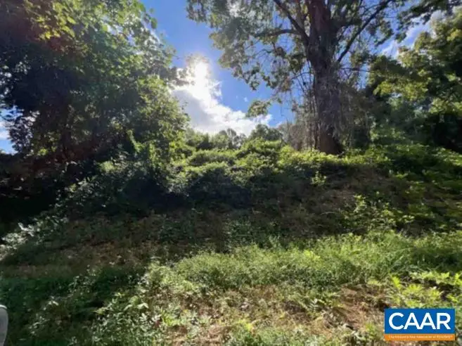 TBD Dry Bridge Rd, Charlottesville, VA 22903 - #2