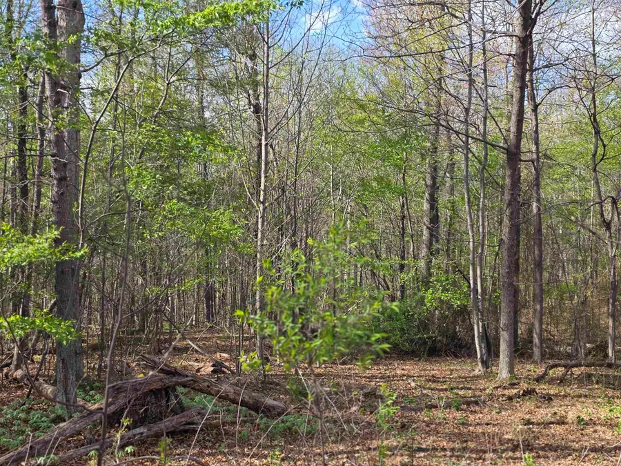 TBD Scenic Hwy N, Mount Solon, VA 22843 - #3