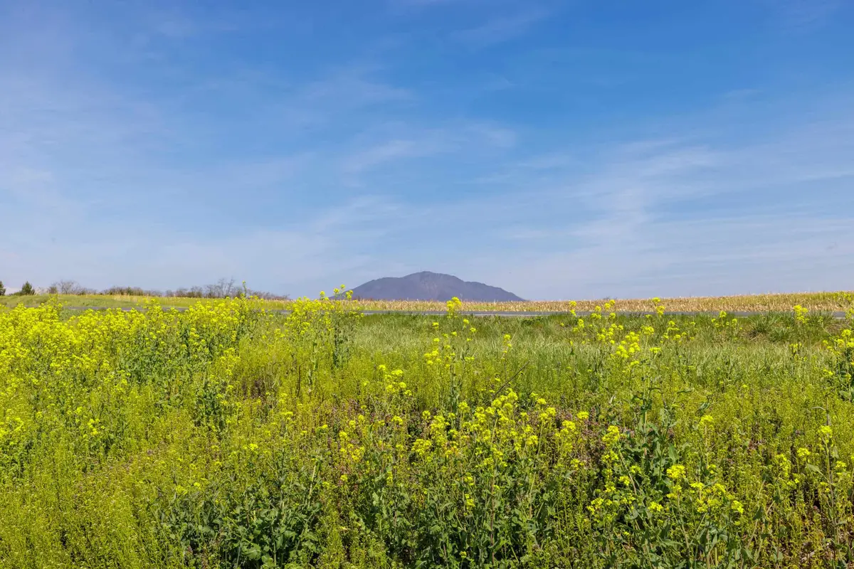 0 Mill Creek Church Rd, Port Republic, VA 24471 - #1