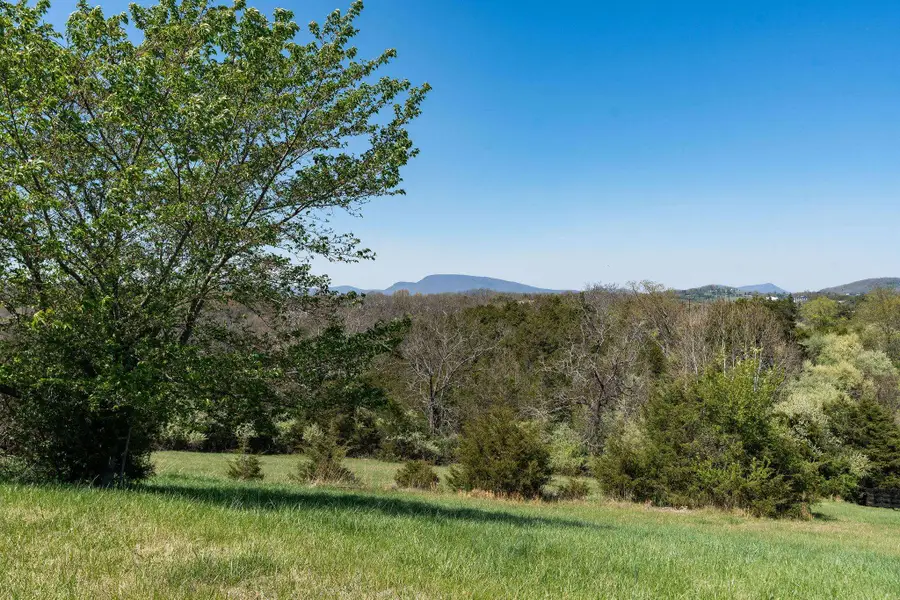 Lot 2 Cora Ln, Lexington, VA 24450 - #2