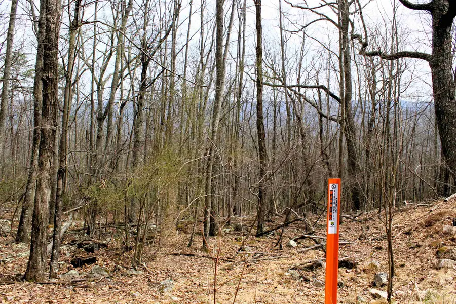 High Valley Dr S, Monterey, VA 24465 - #2