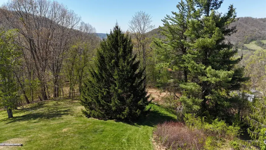 tbd Klondike Rd, Warm Springs, VA 24484 - #3