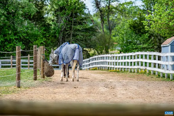 12500 Shannon Hill Rd, Louisa, VA 23093