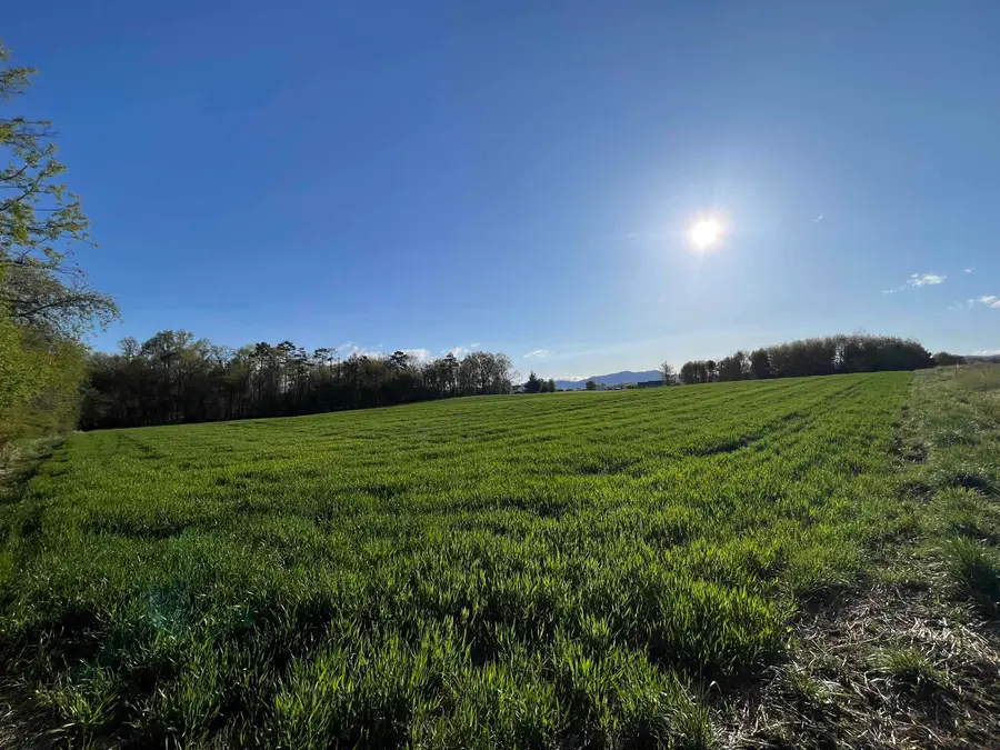 TBD Morton Rd, Crimora, VA 24431 - #3