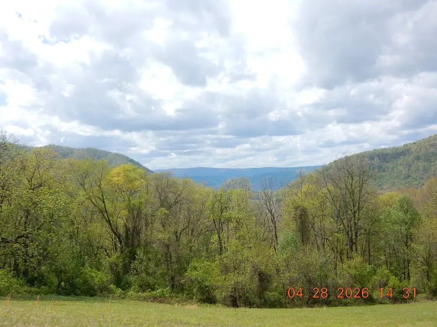 tbd Flag Rock Trl, Hot Springs, VA 24445 - #2
