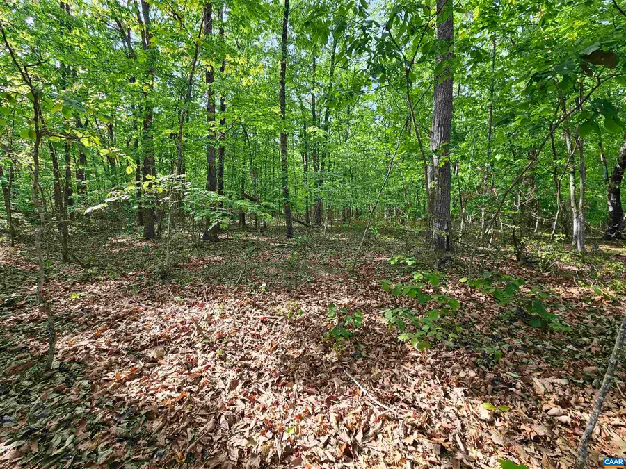 6.939 Axtell Rd, Howardsville, VA 24562 - #3