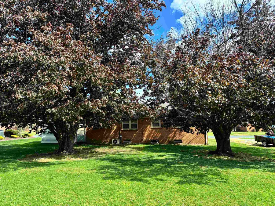 305 Pope St N, Bridgewater, VA 22812 - #3