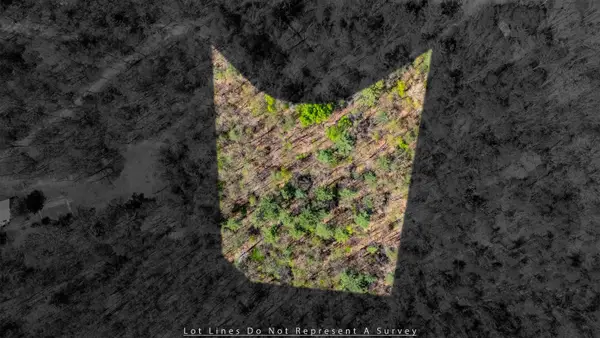 TBD Camp Hollow Ln, Fulks Run, VA 22830
