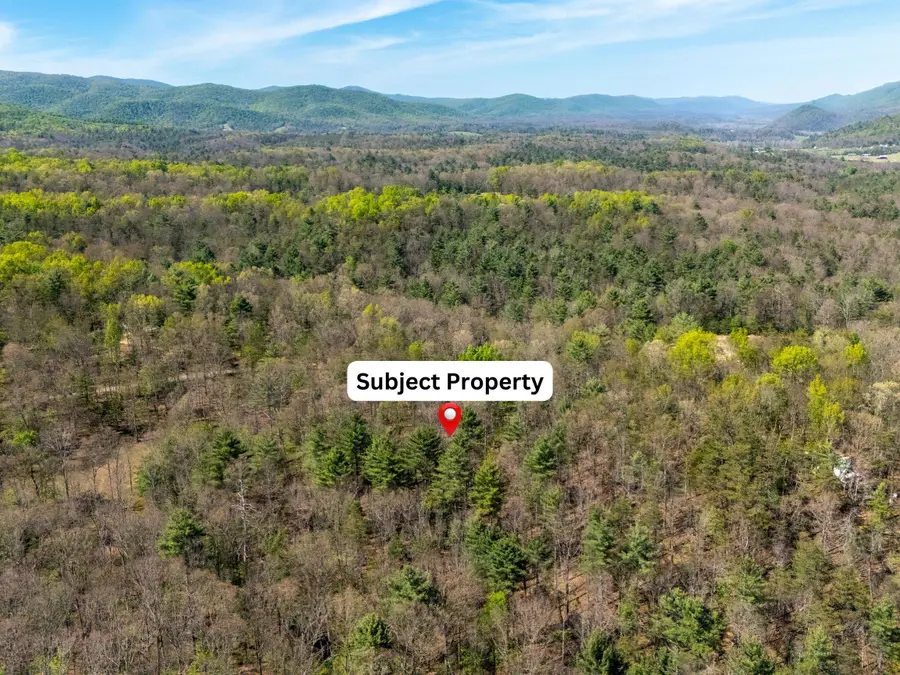 TBD Camp Hollow Ln, Fulks Run, VA 22830 - #2