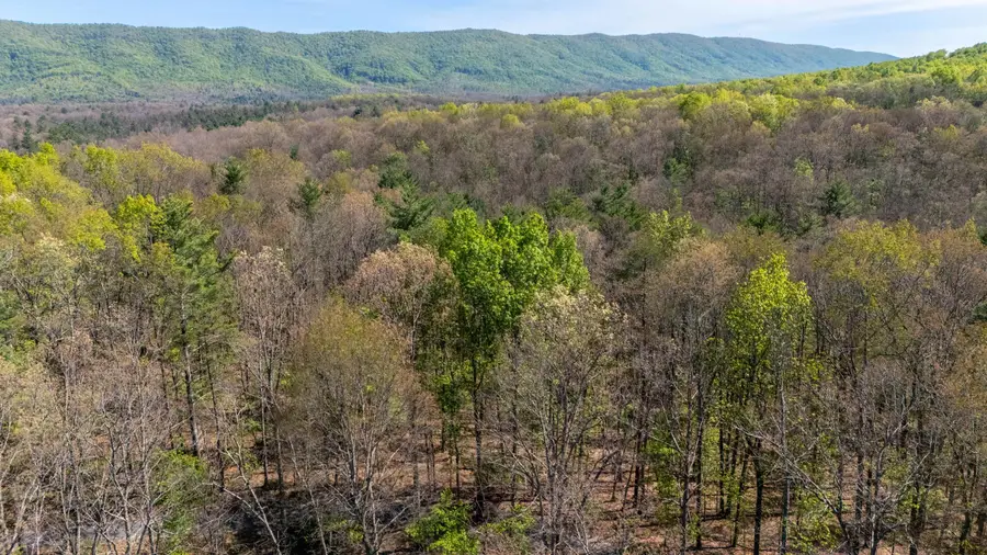 TBD Camp Hollow Ln, Fulks Run, VA 22830 - #3