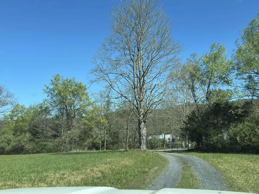 TBD Campbell Hollow Rd, Millboro, VA 24460 - #2