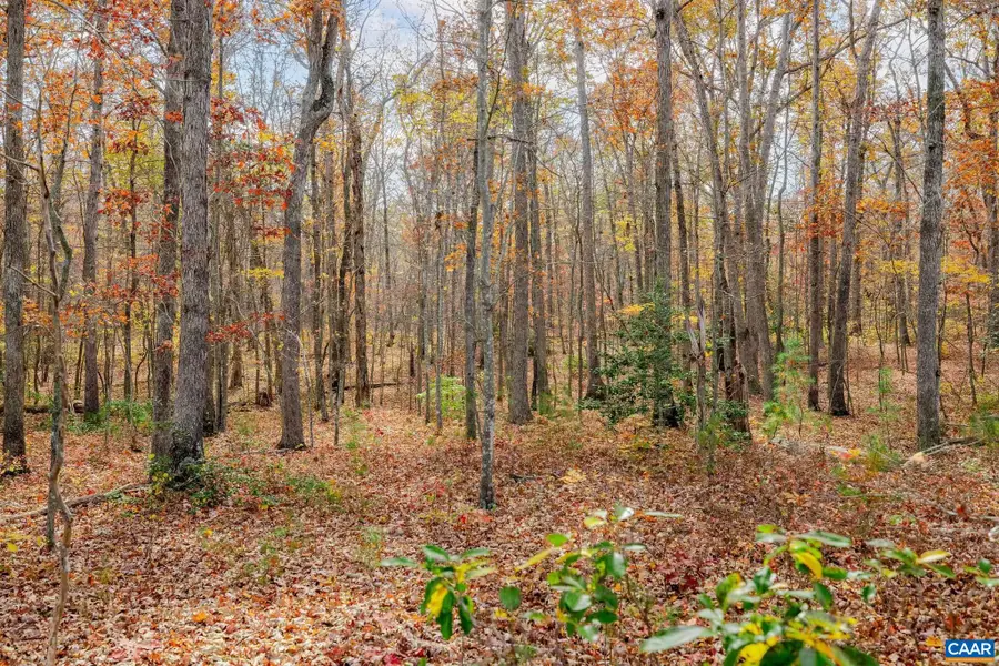 21 acres TBB Coles Rolling Rd, Scottsville, VA 24590 - #3