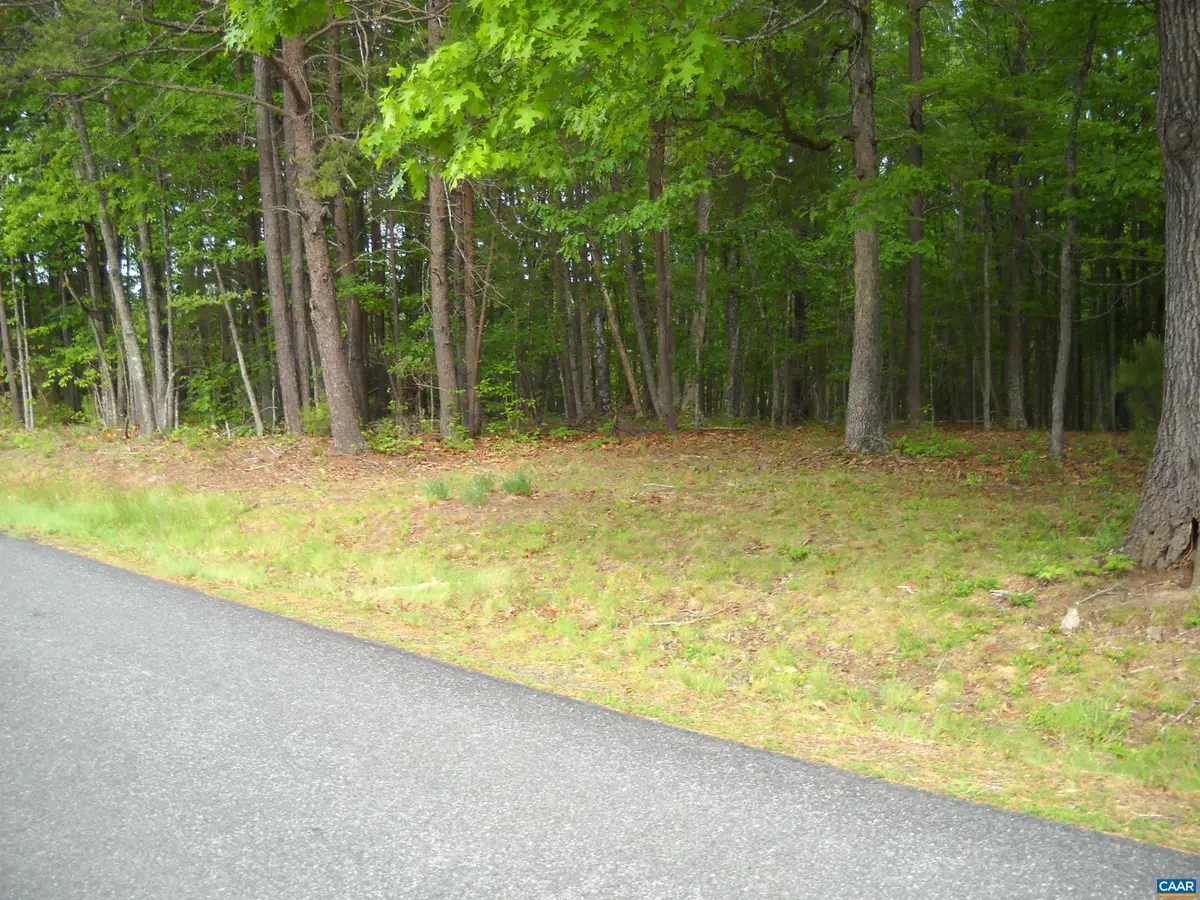 0 Gold Mine Rd, Palmyra, VA 22963 - #1