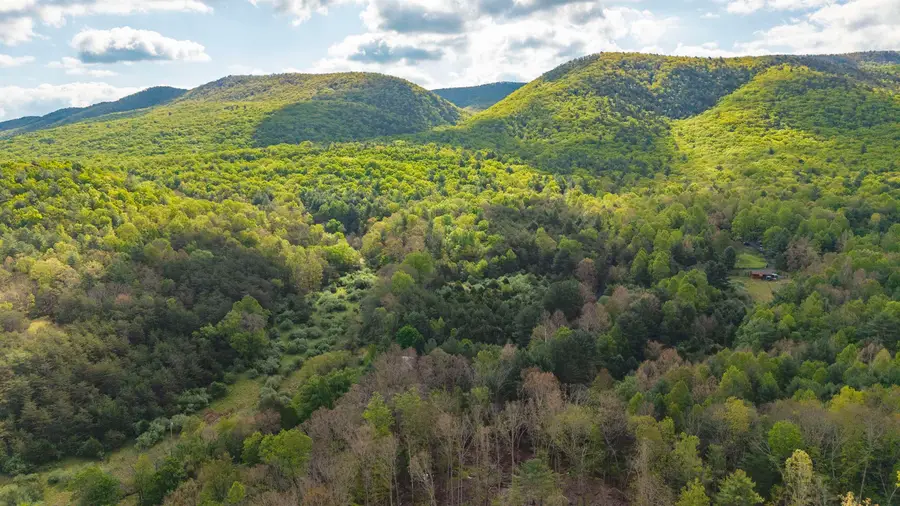 161 Glover Run, Goshen, VA 24439 - #3