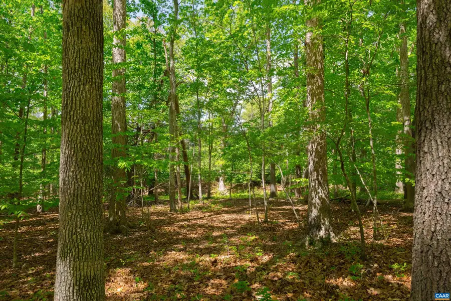 TBD Keswick Ln, Keswick, VA 22947 - #2