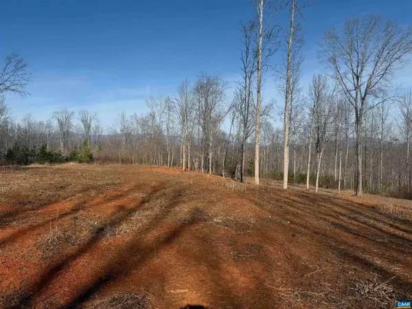 0 Wingfield Dr, Goode, VA 24556