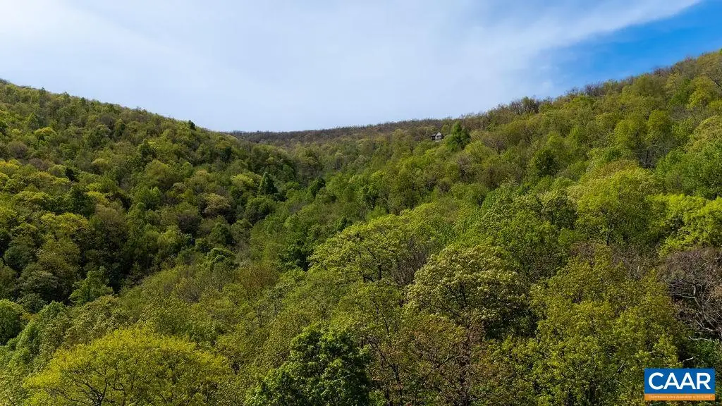 2242 Laurel Springs Dr, Wintergreen Resort, VA 22967 - #1