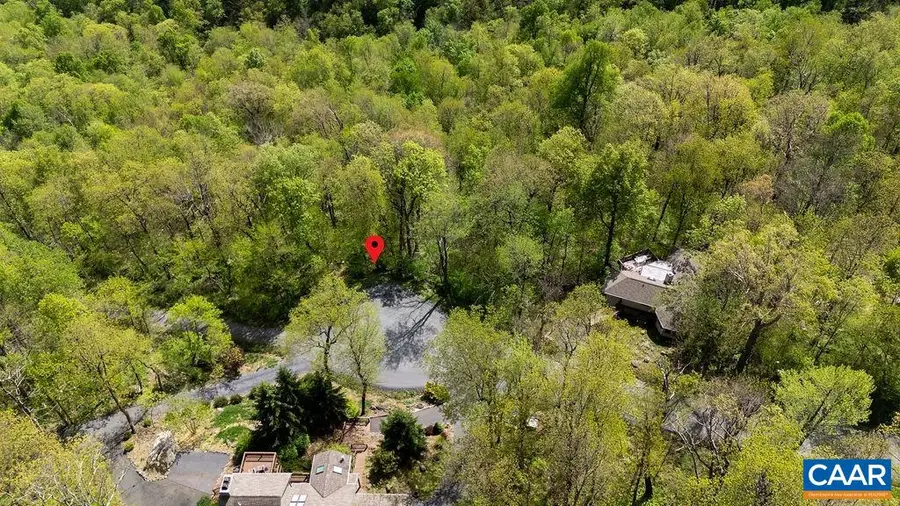 2242 Laurel Springs Dr, Wintergreen Resort, VA 22967 - #2