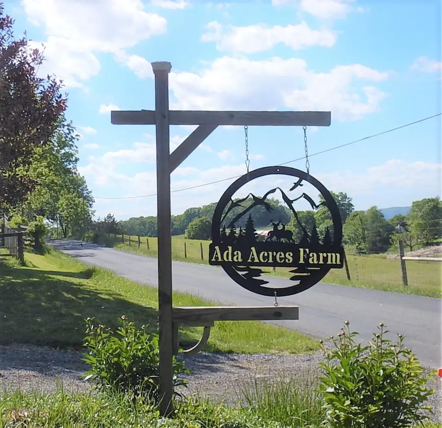 1312 Raphine Rd, Raphine, VA 24472 - #2