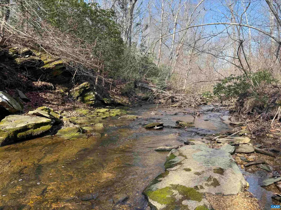 0 Paynes Pond Rd, Scottsville, VA 24590 - #2