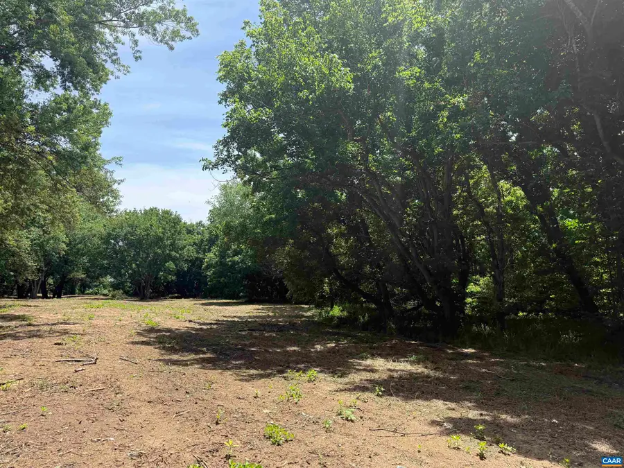 0 Paynes Pond Rd, Scottsville, VA 24590 - #3
