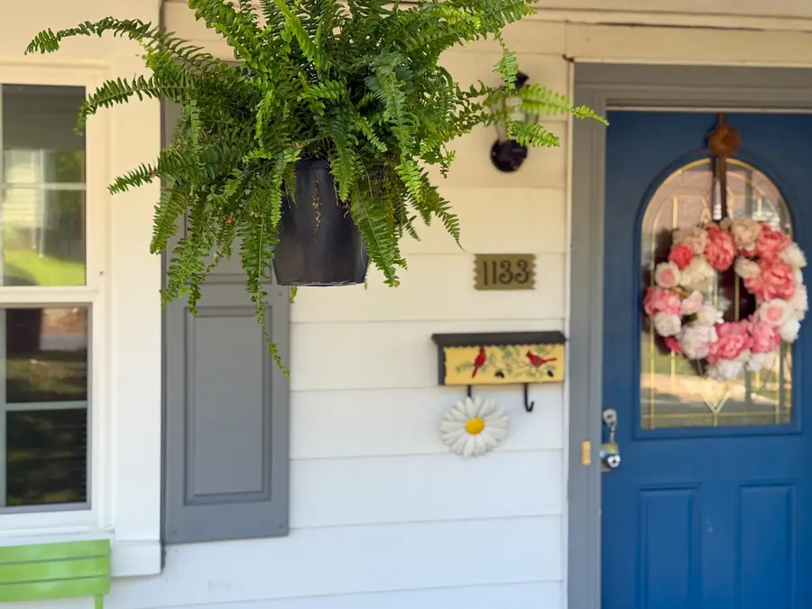 1133 Lindsay St, Lynchburg, VA 24502 - #3