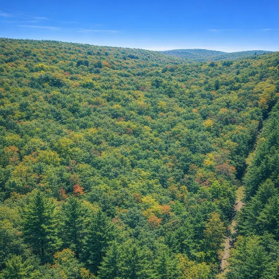 LOT 170 Forest Ridge Trl, Fort Valley, VA 22652 - #2