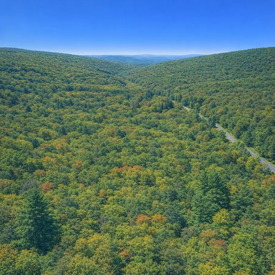 LOT 170 Forest Ridge Trl, Fort Valley, VA 22652 - #3