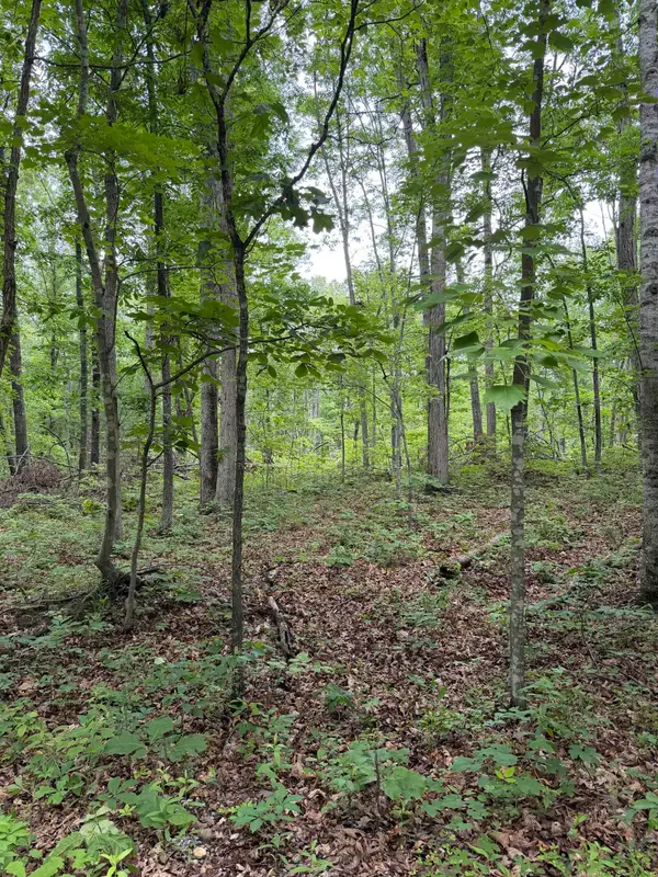 Lot 51 Lake Dr, Crimora, VA 24431