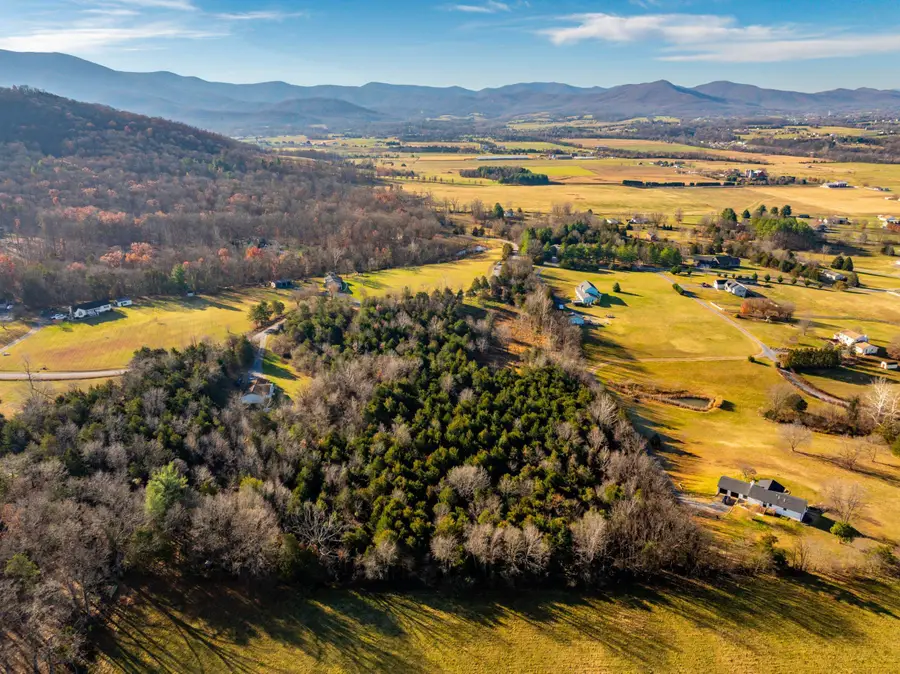Harper Valley Rd, Luray, VA 22835 - #3