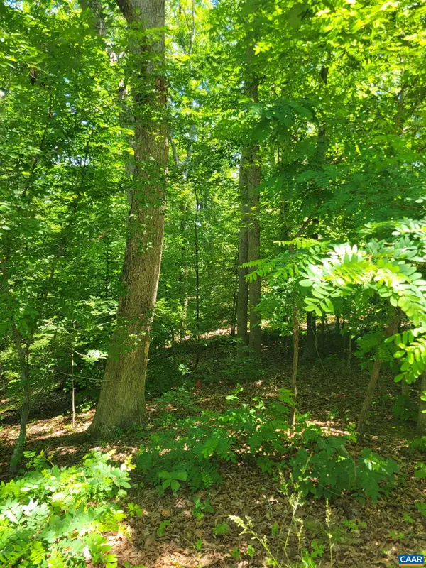 8 Mechunk Ter, Palmyra, VA 22963