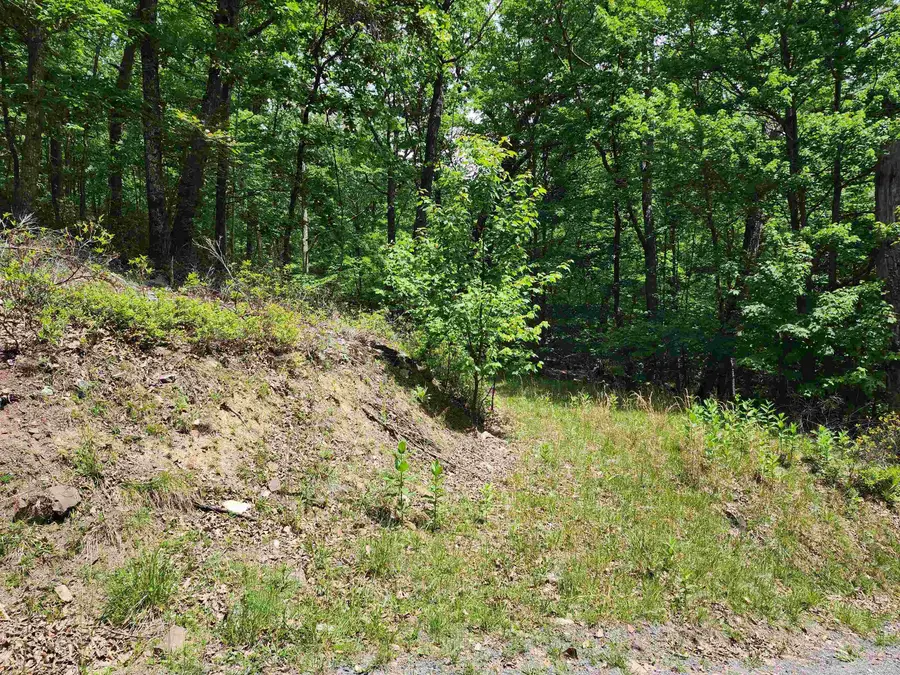 TBD High Valley South, Monterey, VA 24465 - #2