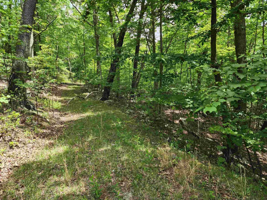 TBD High Valley South, Monterey, VA 24465 - #3