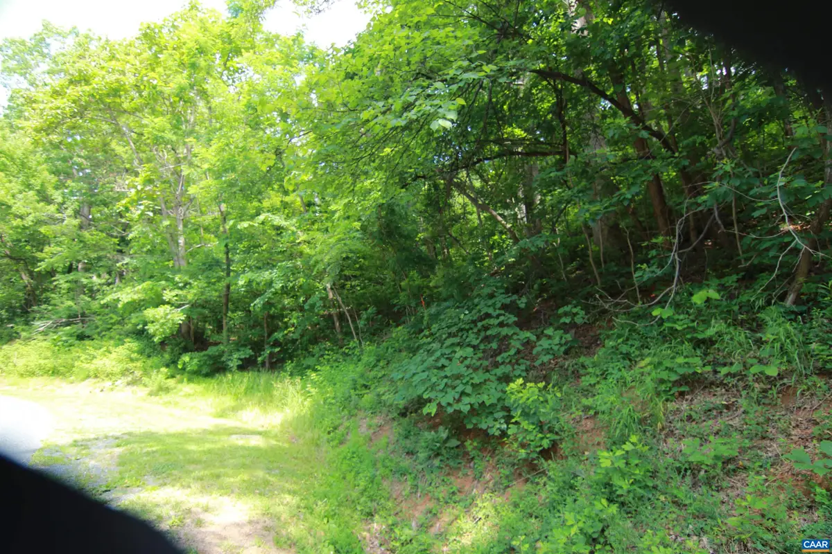1351 Black Walnut Dr, Nellysford, VA 22958 - #1