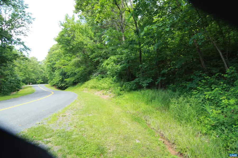 1351 Black Walnut Dr, Nellysford, VA 22958 - #2