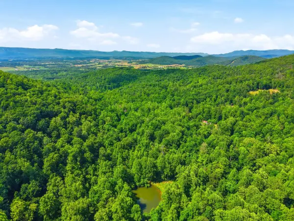 Jordan Hollow Rd, Stanley, VA 22851
