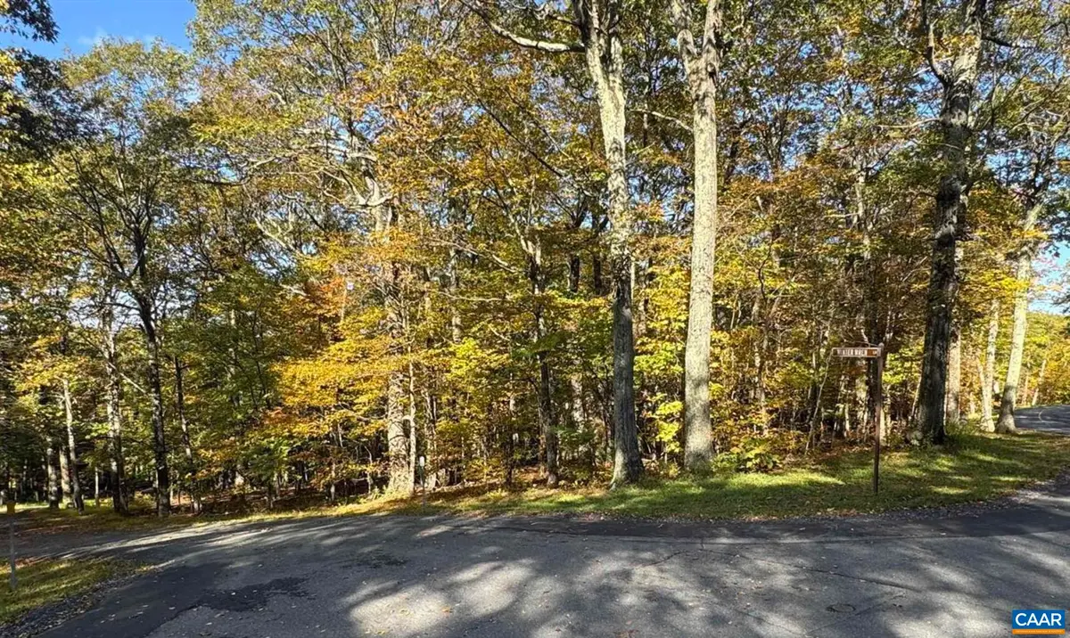 TBD Winter Wren Ln, Wintergreen Resort, VA 22967 - #1