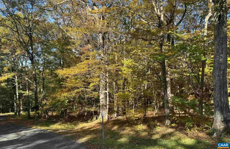 TBD Winter Wren Ln, Wintergreen Resort, VA 22967 - #2