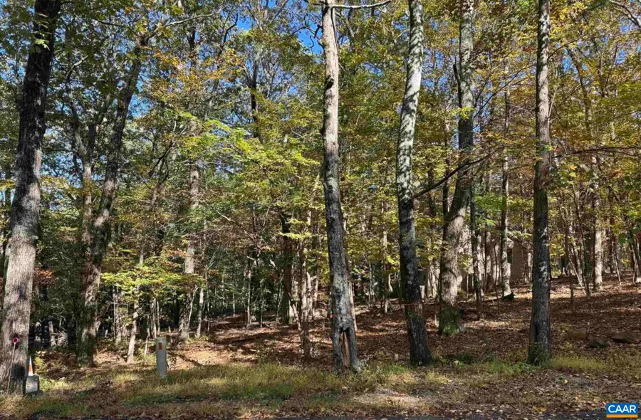 TBD Winter Wren Ln, Wintergreen Resort, VA 22967 - #3