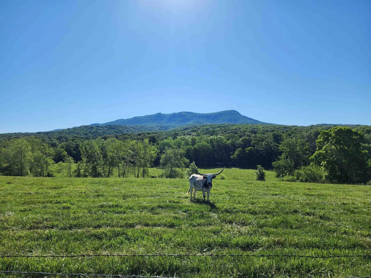 TBD Indian Trail Rd, Penn Laird, VA 22846 - #1