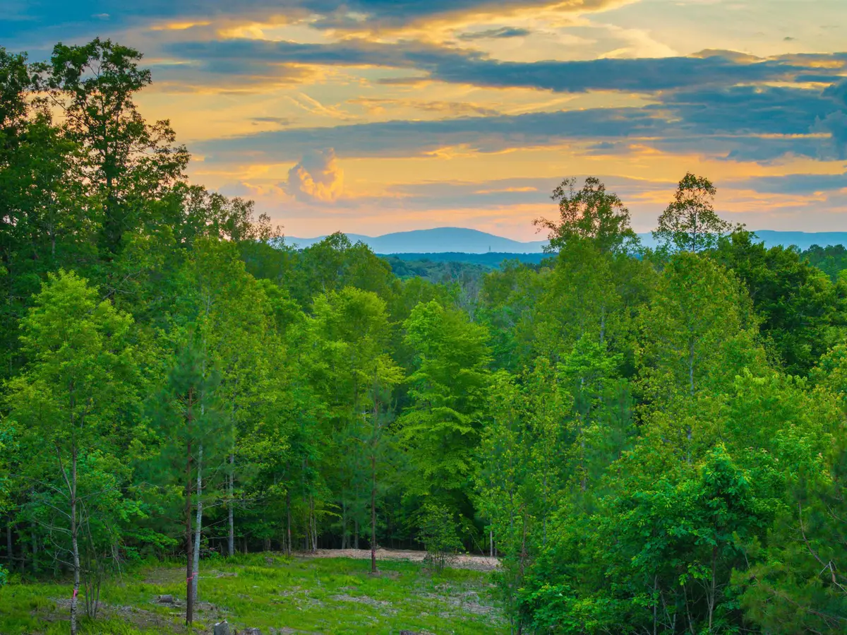 0 Gilbert Station Rd, Barboursville, VA 22923 - #1